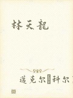林天龙封面