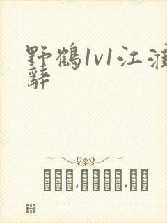 野鹤1v1江淮辞
