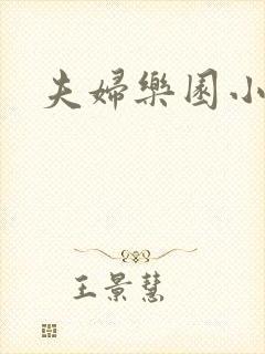 夫妇乐园小说