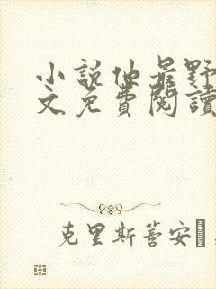 小说他最野了全文免费阅读