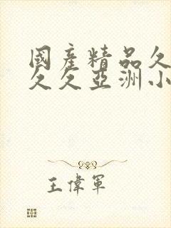国产精品久久久久久亚洲小说