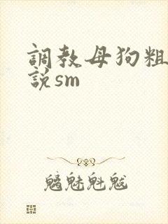 调教母狗粗口小说sm