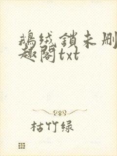 鹅绒锁未删除笔趣阁txt