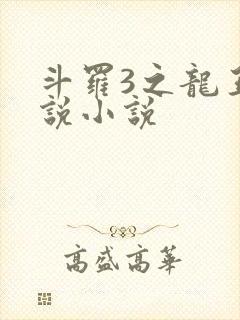 斗罗3之龙王传说小说