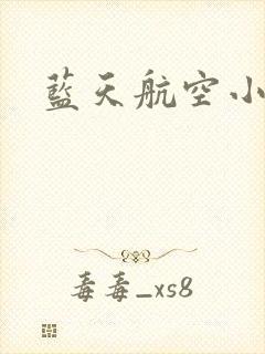 蓝天航空小说封面