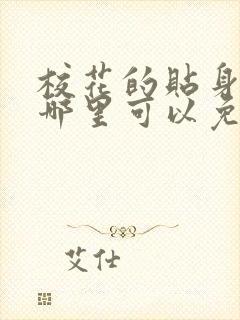 校花的贴身高手哪里可以免费看