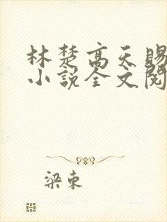 林楚高天赐苏彻小说全文阅读