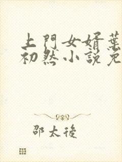 上门女婿叶辰萧初然小说免费阅读完整版