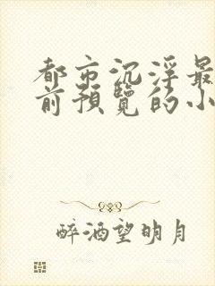 都市沉浮最快超前预览的小说3030