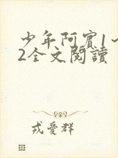 少年阿宾1～72全文阅读封面