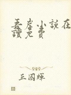 吾岸小说在线阅读免费封面