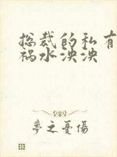 总裁的私有宝贝祸水泱泱