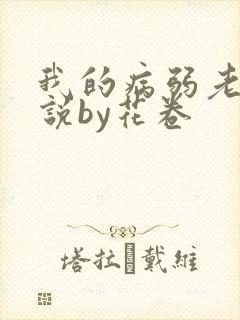 我的病弱老婆小说by花卷