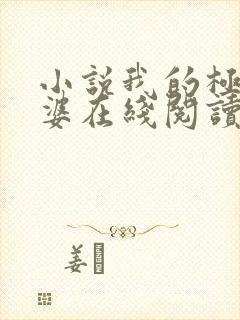 小说我的极品老婆在线阅读封面