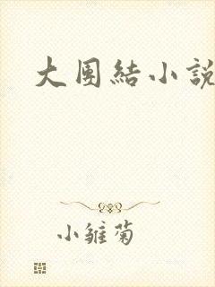 大团结小说下载