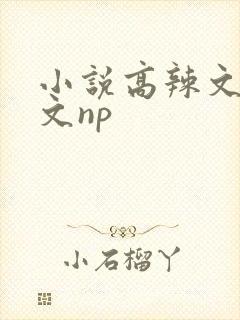 小说高辣文高h文np