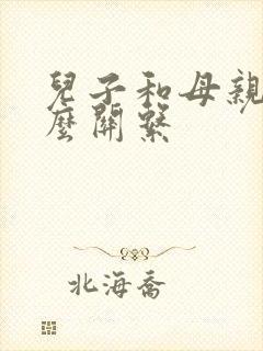 儿子和母亲是什么关系封面