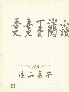 吾妻丁洁小说全文免费阅读最新章节