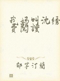 我妈叫沈绣琴免费阅读封面
