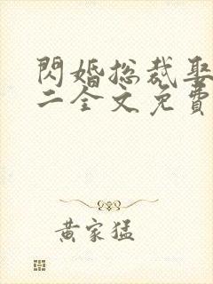 闪婚总裁娶一送二全文免费阅读封面