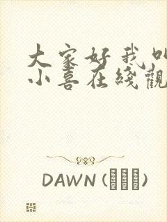 大家好 我叫林小喜在线观看封面