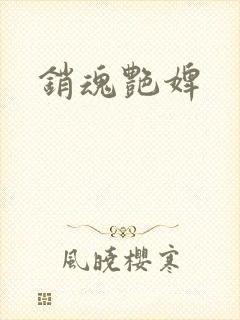销魂艳婢封面
