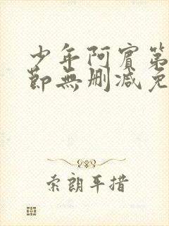 少年阿宾第一章节无删减免费阅读全文