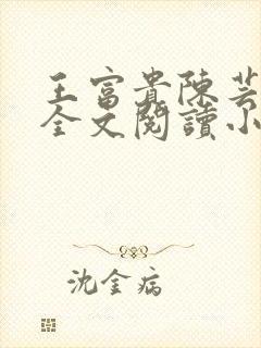 王富贵陈芸免费全文阅读小说
