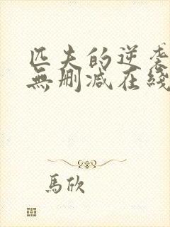 匹夫的逆袭小说无删减在线阅读