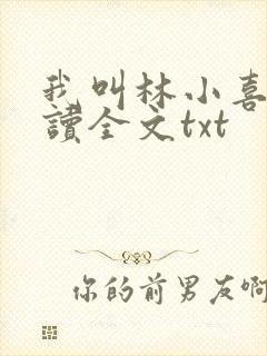 我叫林小喜全阅读全文txt封面