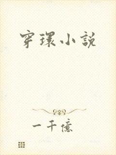 穿环小说