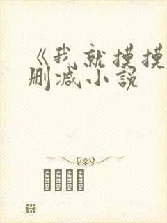 《我就摸摸》无删减小说