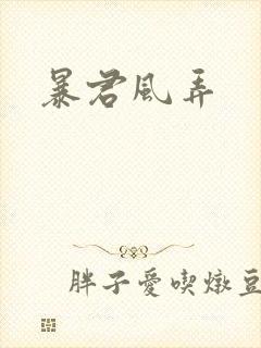 暴君风弄封面