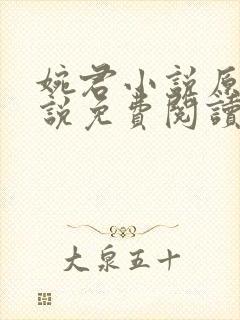 婉君小说原著小说免费阅读