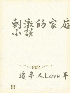 刺激的家庭乱仑小说封面