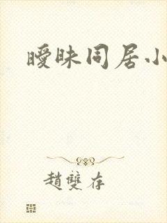暧昧同居小说
