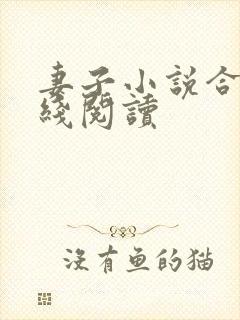 妻子小说合集在线阅读