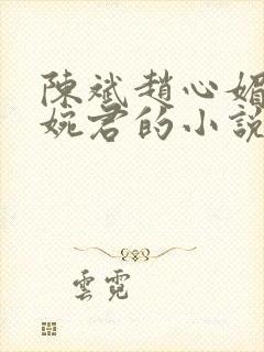 陈斌赵心媚和高婉君的小说