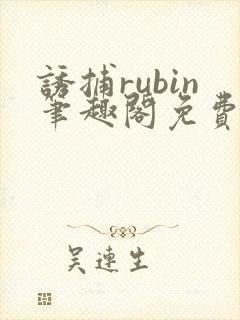 诱捕rubin笔趣阁免费阅读