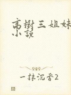 高树三姐妹有声小说