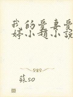 我的爱妻爱女小婷小赵小说免费阅读封面