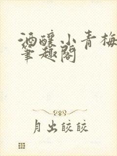 酒酿小青梅po笔趣阁
