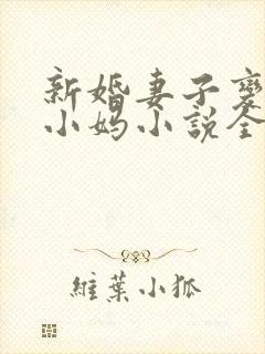 新婚妻子变成了小妈小说全文阅读封面