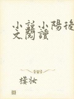 小说小阳后妈全文阅读