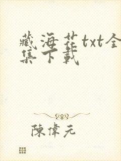 藏海花txt全集下载