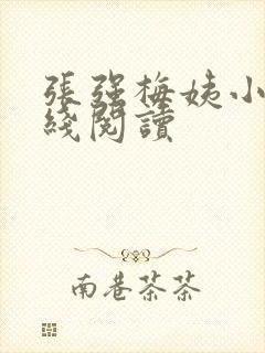 张强梅姨小说在线阅读