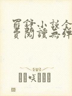 罗铮小说全文免费阅读无弹窗