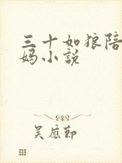 三十如狼陪读妈妈小说
