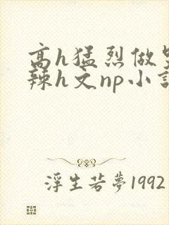 高h猛烈做哭高辣h文np小说