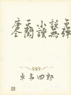 唐天小说免费大全阅读无弹窗